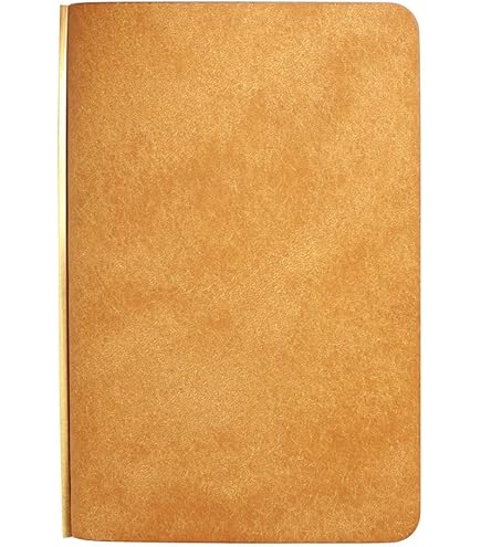 Amazon.co.jp: システム手帳 プロッター ミニ5サイズ プエブロ リング